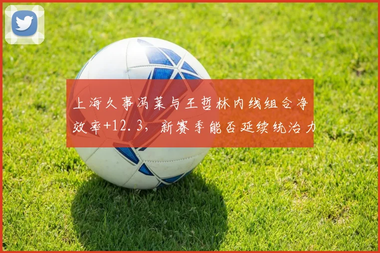 上海久事冯莱与王哲林内线组合净效率+12.3，新赛季能否延续统治力？